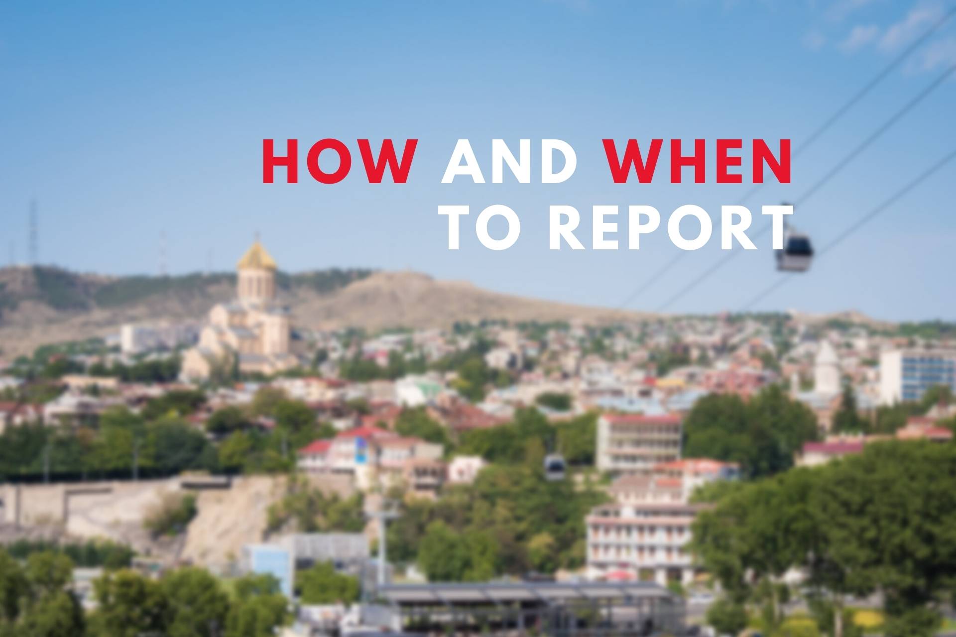 Georgian enterprises new financial reporting requirements in 2021