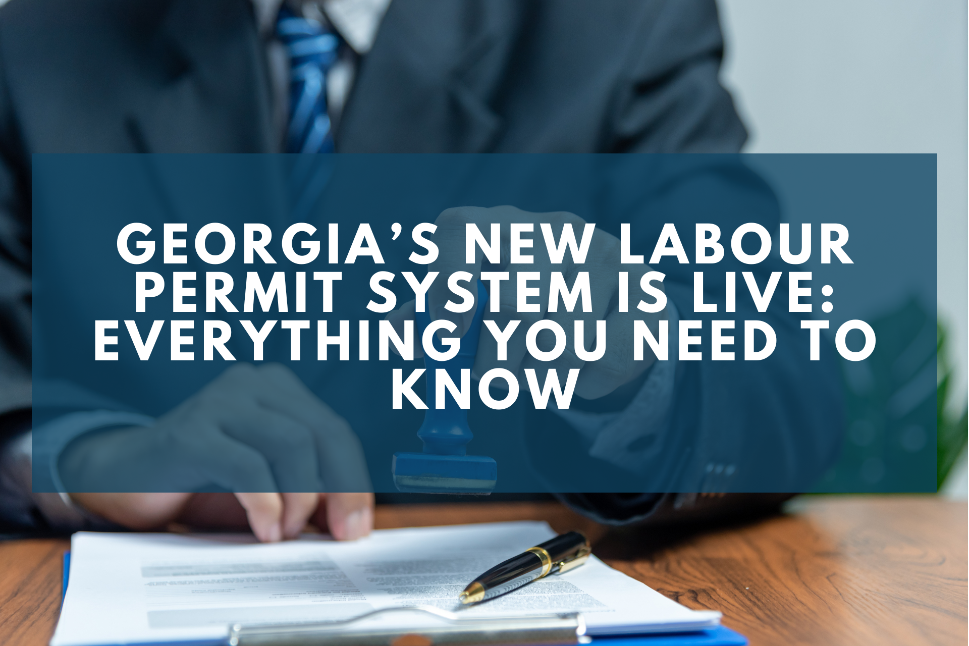 Новая система разрешений на работу в Грузии вступила в силу: всё, что нужно знать