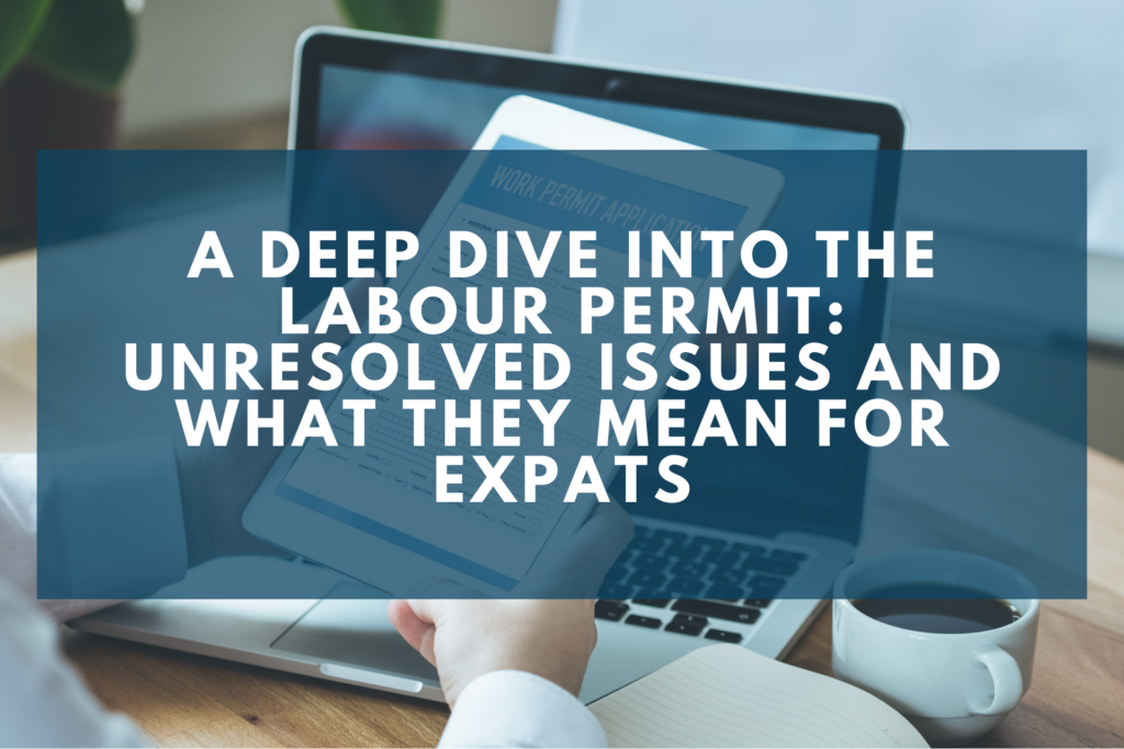 Подробный анализ разрешения на работу: нерешенные вопросы и что они означают для экспатов